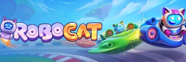 Historia zleceń wypłat w koncie gracza Robocat Casino